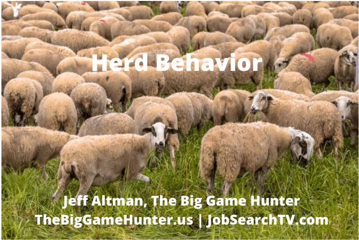 Herd Behavior Herd Behavior