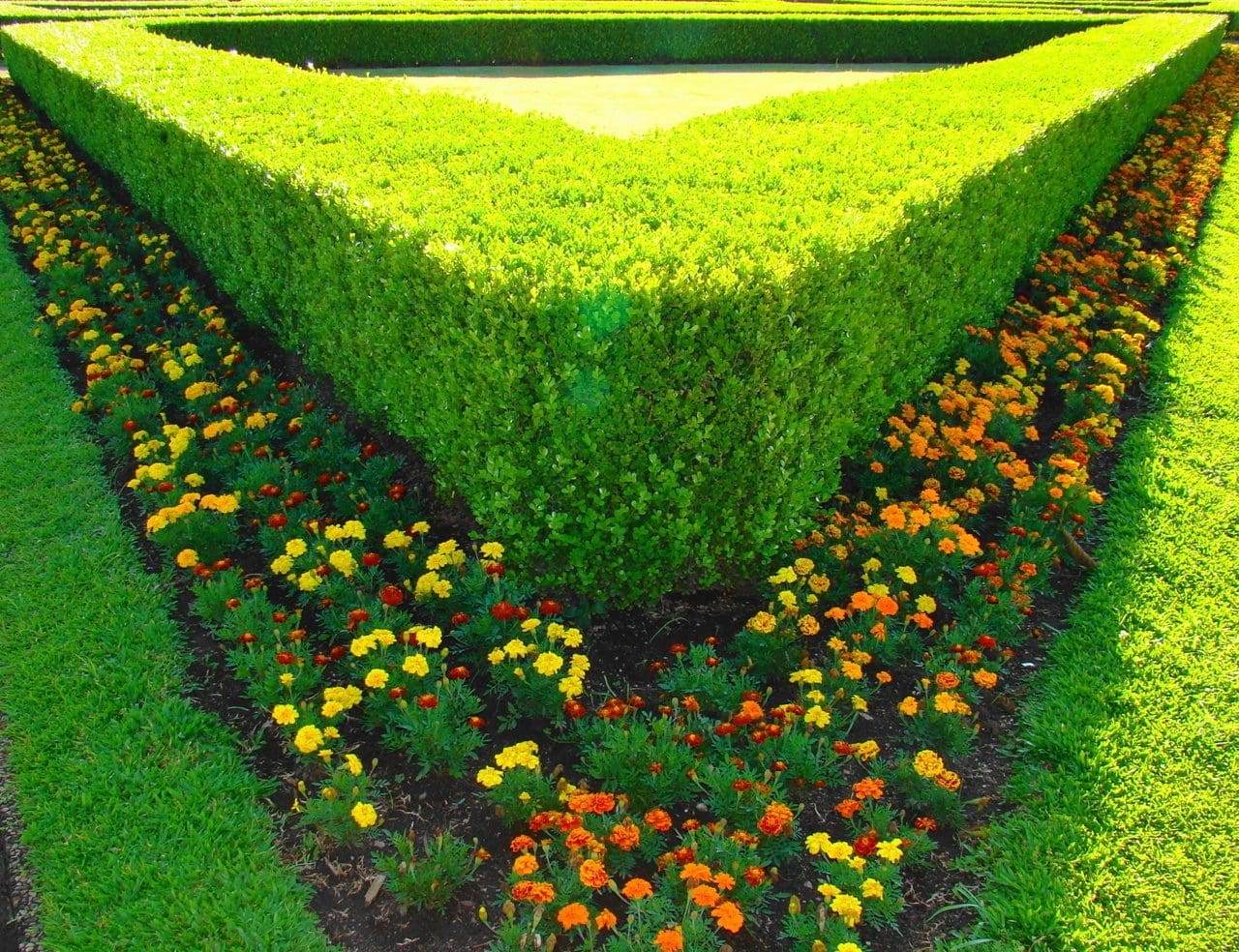 garden-freeimages