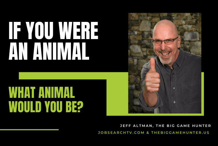 If you are an animal what animal would you be?