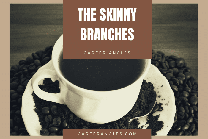 The skinny branches