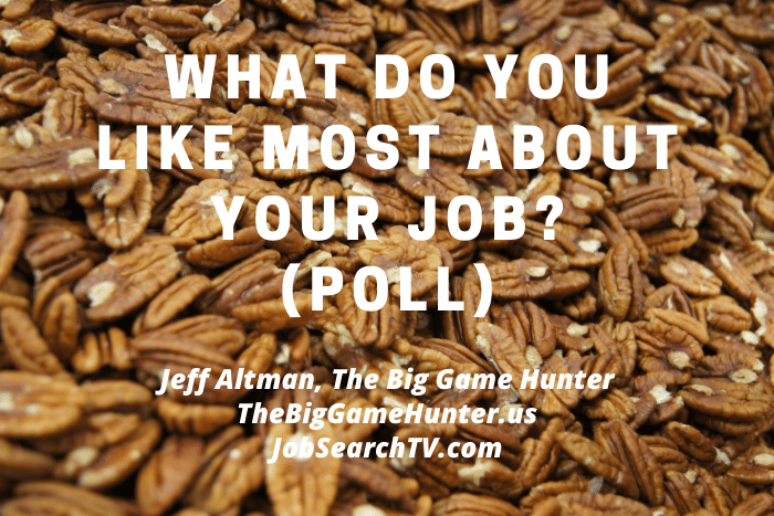 What Do You Like Most About Your Job? (POLL)