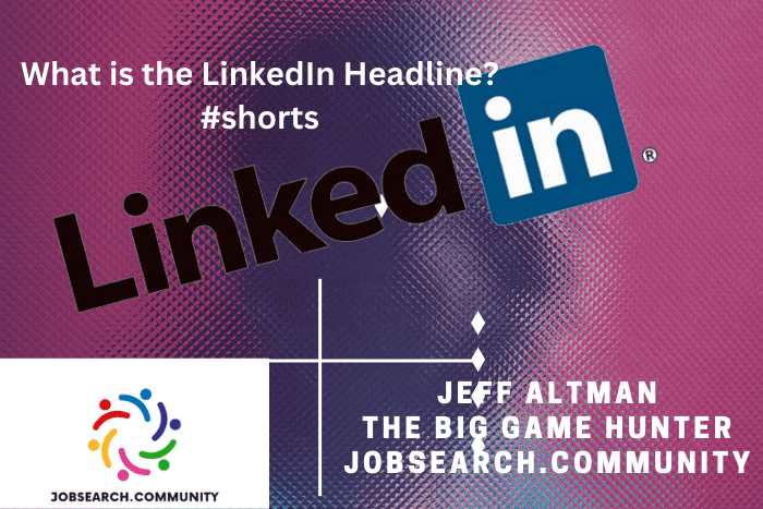 What is the LinkedIn Headline?