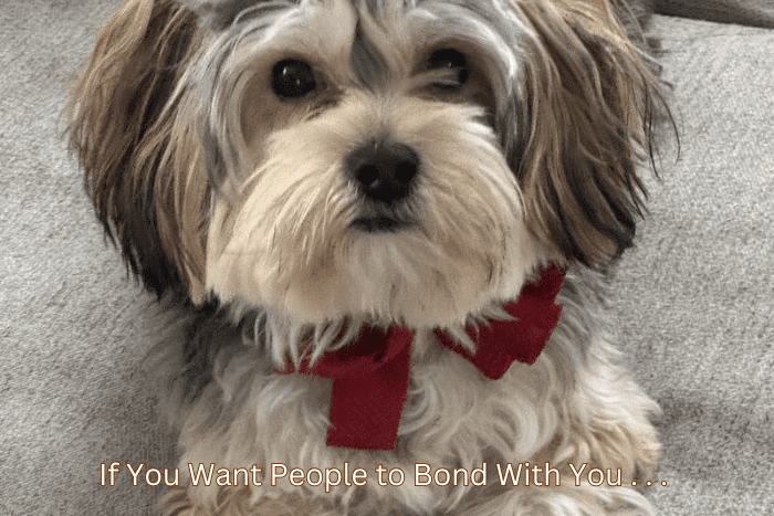 If You Want People to Bond With You . . . If You Want People to Bond With You . . .
