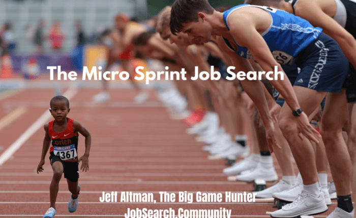 The Micro Sprint Job Search